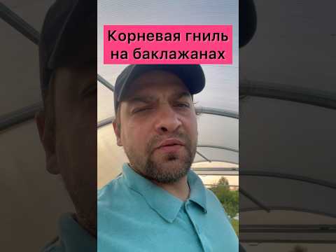 Видео: Вредители и болести по патладжана