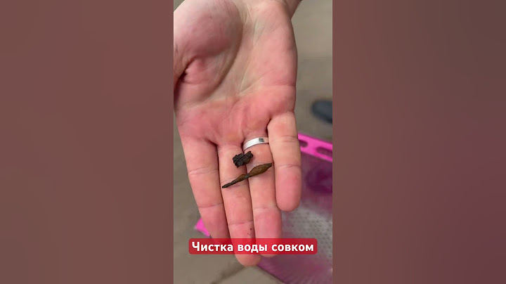 Чистка воды совком