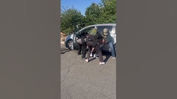 Vietnamese criminal alien Thuc Ho rammed the car behind him trying to evade ICE San Diego officers.