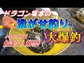 【鮎釣り2024】泳がせ釣りで大爆釣小倉川漁協 解禁