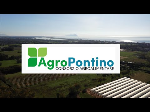 Tradition und Innovation: Die Reise des Agroalimentare Pontino Konsortiums nach Berlin