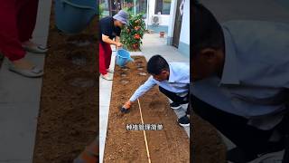 Purple Kidney Beans Are Rich In Nutrients. Have You Planted Them?