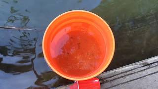 Time Lapse Video of trout release