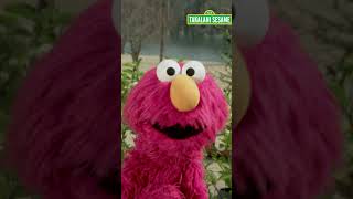 Elmo Has a Special Message for You! | Takalani Sesame Profile