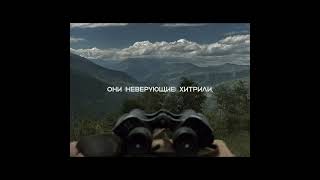 Сура Аль Имран Чтец:Махди Аш-Шишани