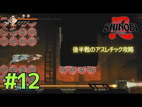 Complete all stages up to this point with a 100% completion rate