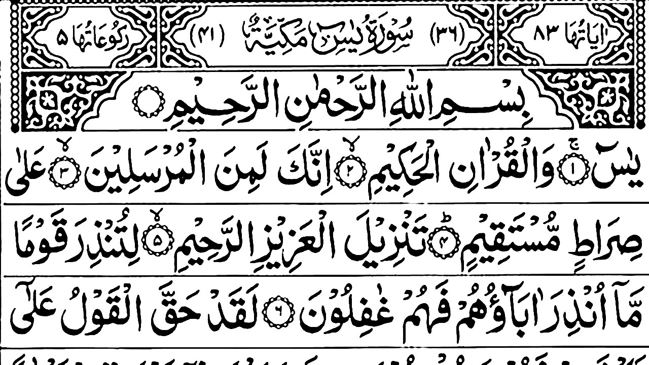 Surah Yaseen Surah Ar Rahman | Best Quran Recitation | Surah Yasin Tilawat | Episode_002