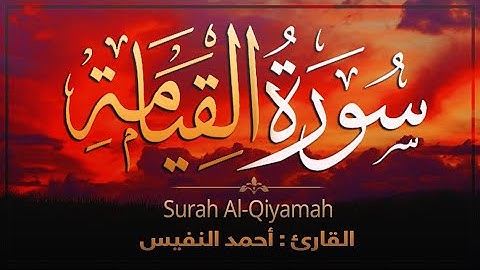 تلاوة خاشعـة 🤍 من سـورة القيامة || احمد النفيس Surah Al-Qiyamah