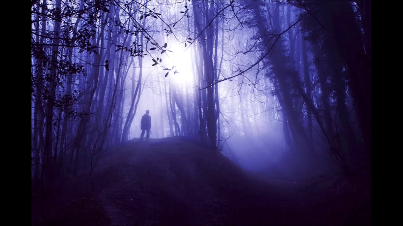 Темно глупый. Страшный лес. Ночной лес. Человек в лесу ночью. «Ночь в лесу».
