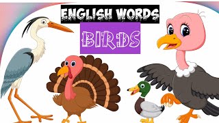 Birds names for kids, bird names in english, kids learning birds names, toddler learning, children screenshot 2