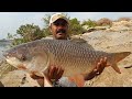 Fish hunting ||Amazing Fishing Catching The Big Rohu fish