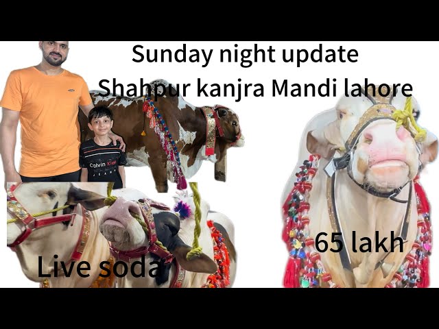 Sunday night update 26 may || live soda || Lahore shahpur kanjra mandi @faranvlogs class=