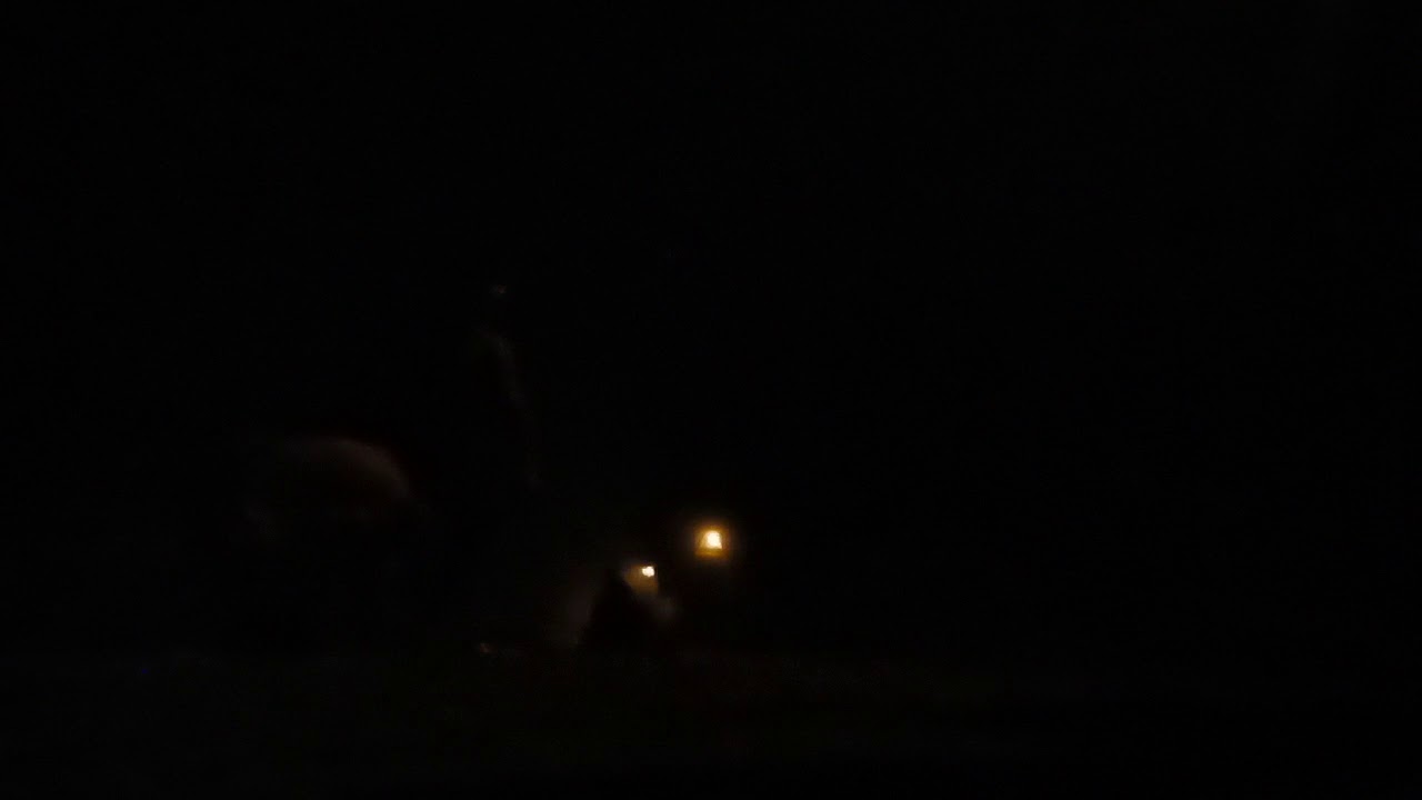 Sutli bomb vs aata (flour)