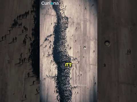 You Won T Believe This Isn T A Crack TT Inspiresart Art Artist Viral 