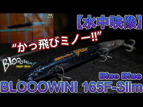 ブルーブルー ブローウィン 165F-Slim/アイザー160F セット ブルー