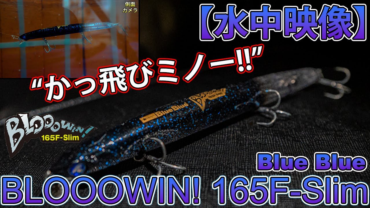 【水中映像】ブルーブルー ブローウィン!165F-Slim【自作回流水槽】/ BlueBlue BLOOOWIN! 165F-Slim  【バチ抜け特集2022】