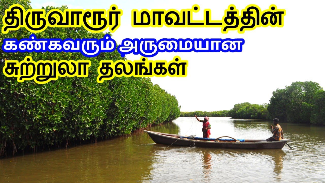 Thiruvarur District Tourist Places || திருவாரூர் மாவட்டத்தின் சுற்றுலா தலங்கள் | Tamil Tourist Guide