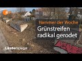 Landesbetrieb holzt Straßenbäume weg | Hammer der Woche vom 20.02.21 | ZDF