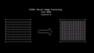 Celebrity Neural Image Processing: Lecture 8 (Fall 2020) Wealth
