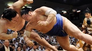 Sumo