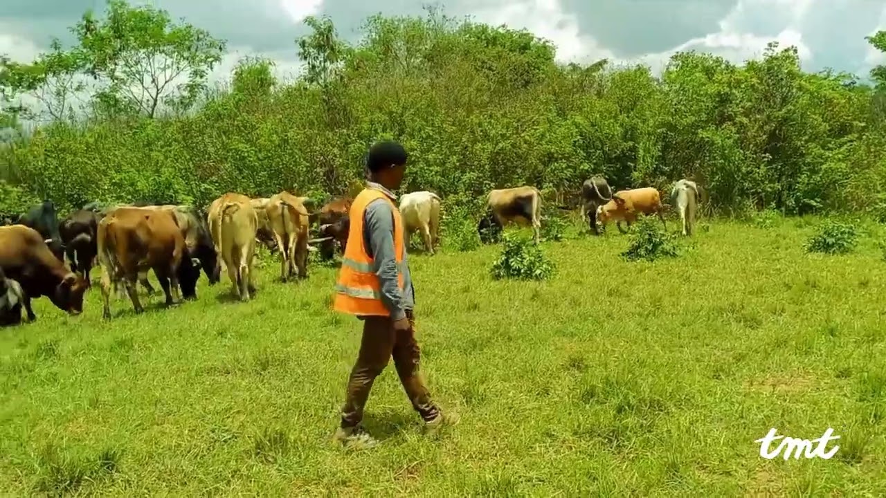 Quelque part à Lubumbashi