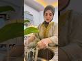 بسبوسه بالقشطة🫠#بسبوسة #حلويات#بسبوسه_بالقشطه
