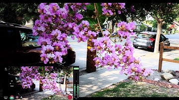 Filmic DOF iPhone X -Shallow depth of field