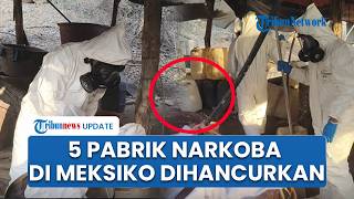 Detik-Detik Penggerebekan 5 Pabrik Narkoba Rahasia di Meksiko: Berhasil Dimusnahkan