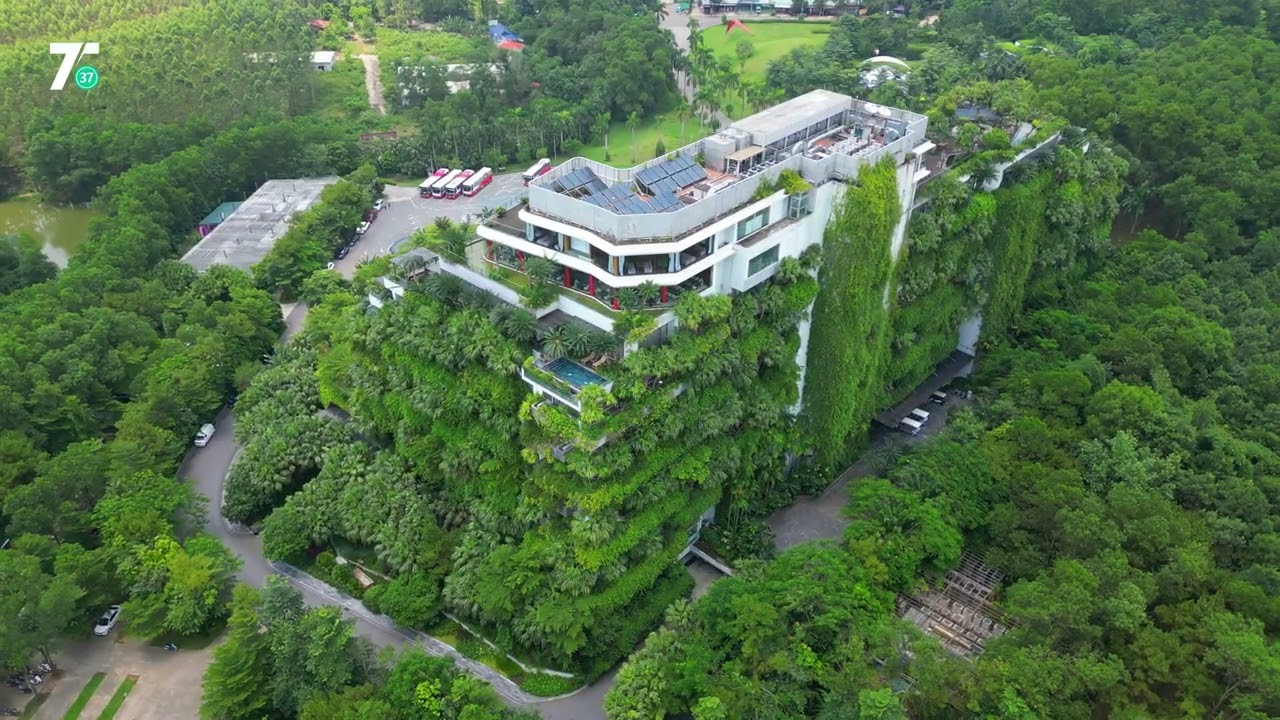 Toà nhà Forest In The Sky Đại Lải