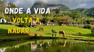PEIXES NO LAGO - CORTANDO MONTANHAS - DE SÃO PAULO RUMO A MINAS GERAIS