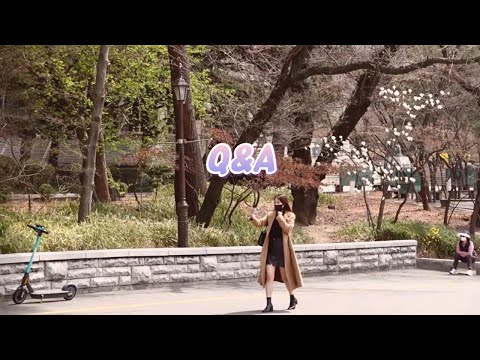 이상형, 영감의 원천, <strong>스트레스해소법</strong>, 여행의 이유 등등..✈️
