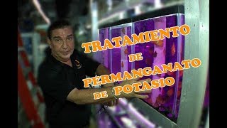 permanganato de potasio para que se utiliza permanganato de potasio para que se utiliza