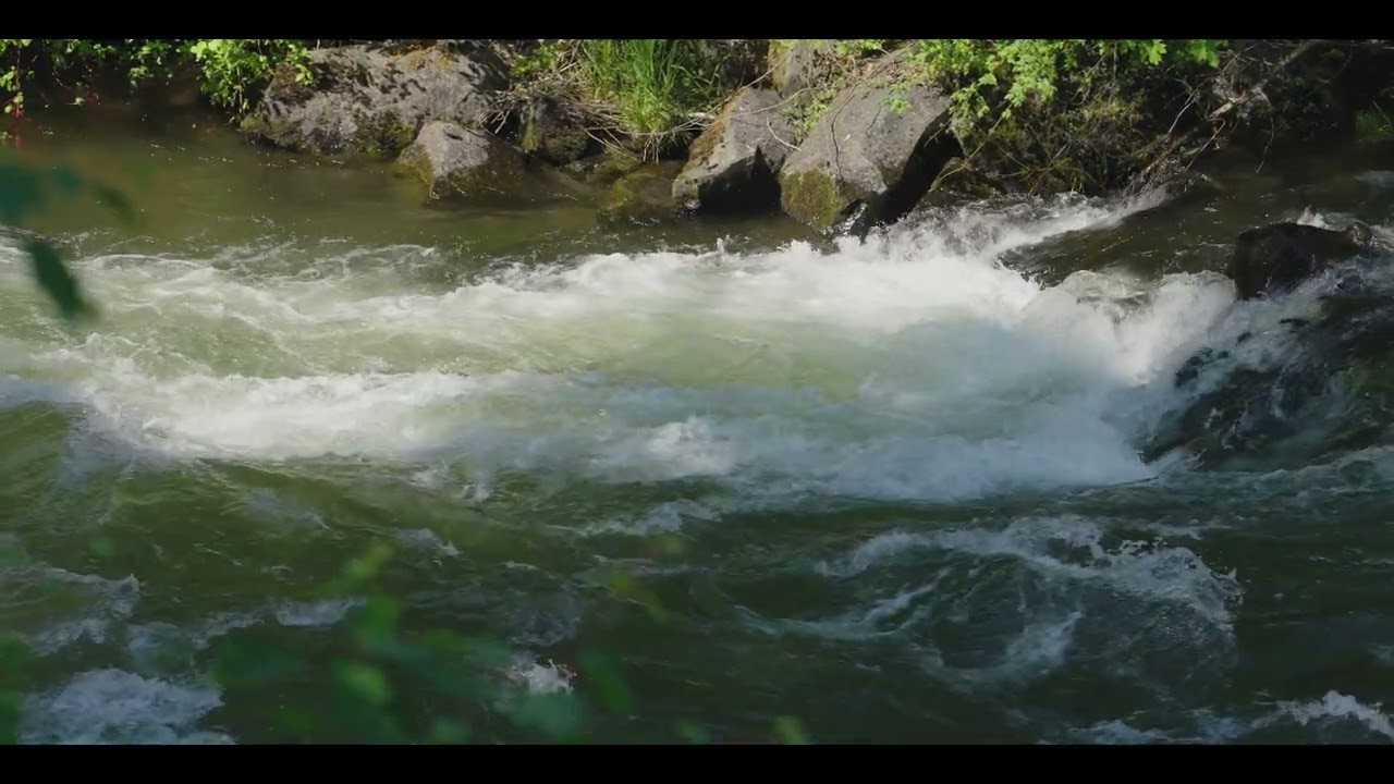 Estate Escapes teaser