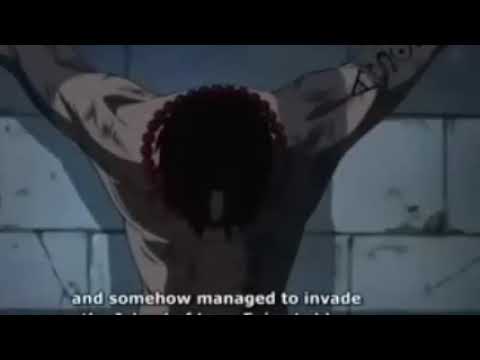 One piece  (echo)