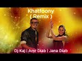 Dj Kaj Ft Amr Diab Jana Diab Khatfoony Remix 