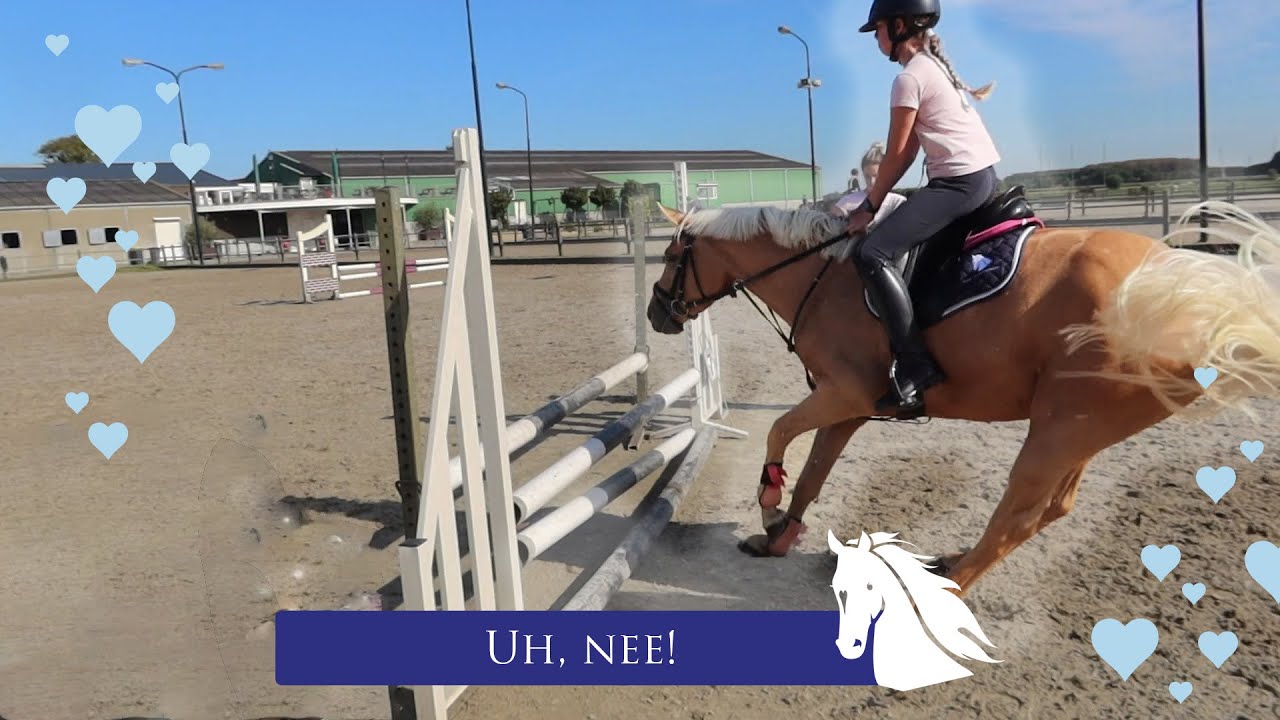 Pony Blondie WEIGERT, of toch niet... -weekvlog * Hart voor Paarden *