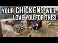 Fix your water bar!  Your chickens will love you!