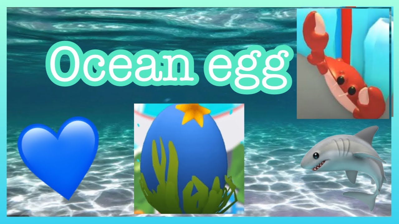 NEW ADOPT ME **OCEAN EGG**🌊 YouTube