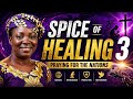 Spice of healing 3 (PRAYING FOR THE NATIONS)