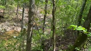 Arkansas hunting lease now available on HLRBO!