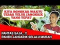 Waktu Yang Tepat Tebar Bibit Jangkrik