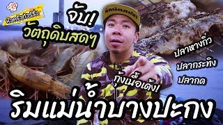 ตกกุ้ง ตกปลา ริมแม่น้ำบางประกง [หัวครัวทัวร์ริ่ง] EP.20