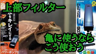 【上部フィルター×亀】亀飼育に上部式フィルターを使うなら、洗いやすさに特化させましょう。GEX デュアルクリーン・コトブキ　トリプルボックス【ジーベンロックナガクビガメ水槽】