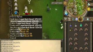 Soft Sheets Runescape 3rd PK Video (w/Commentary) Pure, Gmaul, DDs, OLD WILD!! screenshot 5