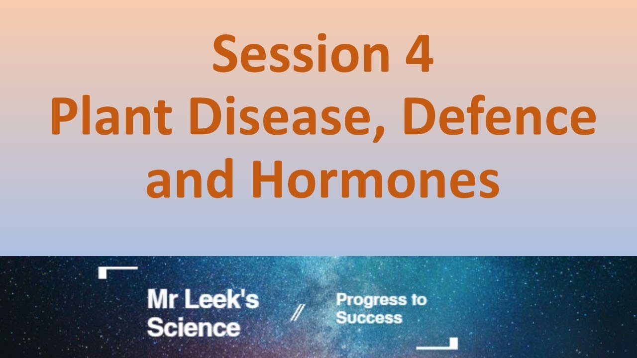 Session 04 Plant disease defense and hormones AQA Science YouTube