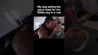 Rich Piana Meme Rich Piana Eating The Same Meal For The 700th Time richpiana