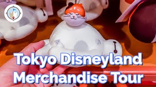 Tokyo Disneyland Merchandise 2020 Tour | Beauty and the Beast + Baymax