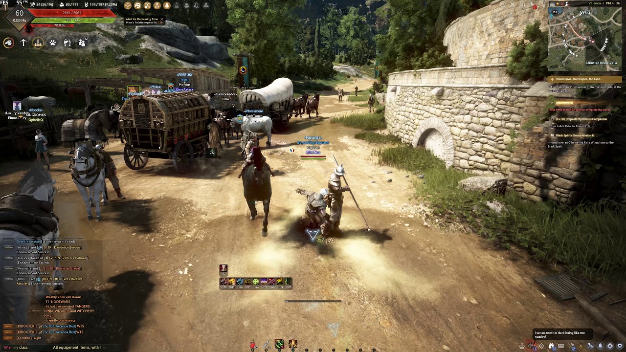 Black Desert Max Settings 1440p