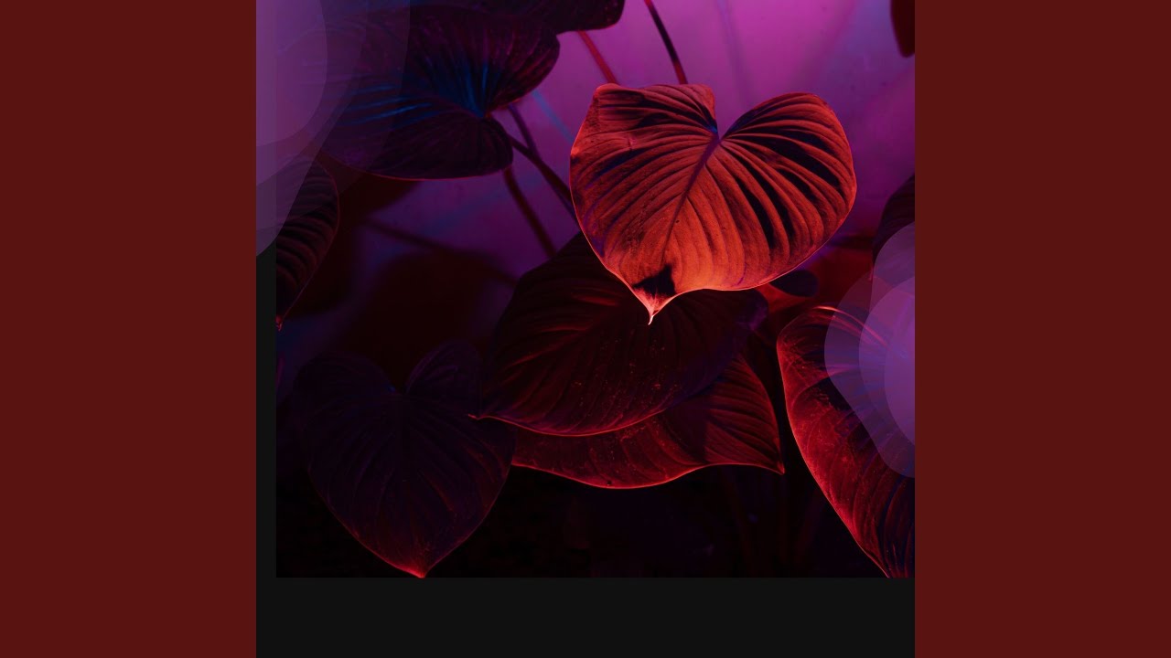 Watch Opalescent Harmony on YouTube Watch Opalescent Harmony on YouTube
