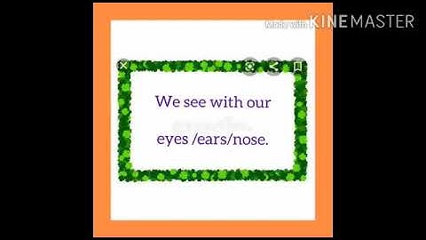 Class I My  Body Module 3 Seema Kharbanda